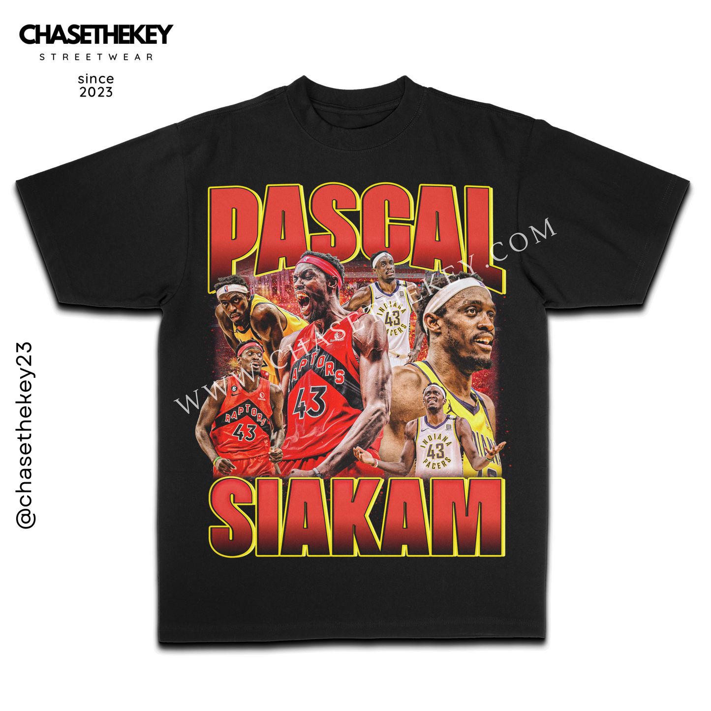 Pascal Siakam basketball graphic T-shirt