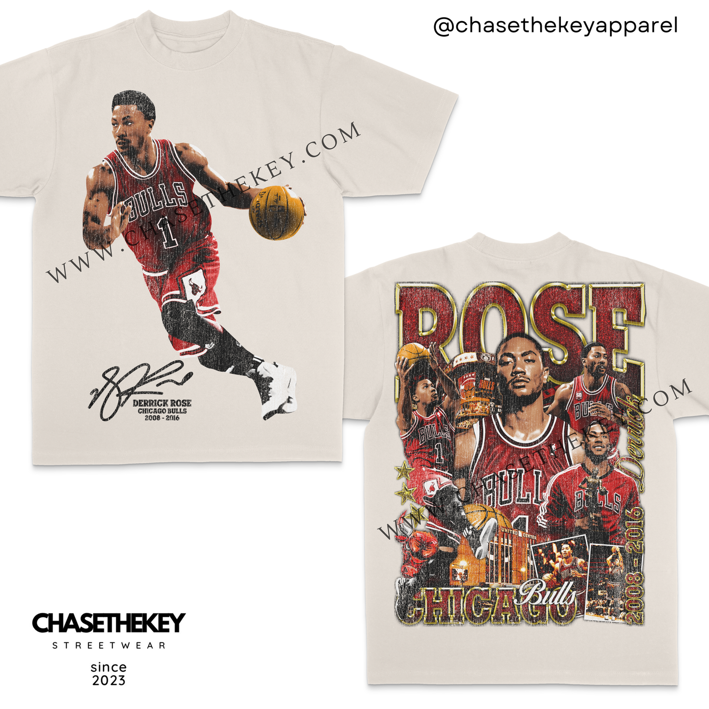 Derrick Rose Chicago Bulls T-Shirt