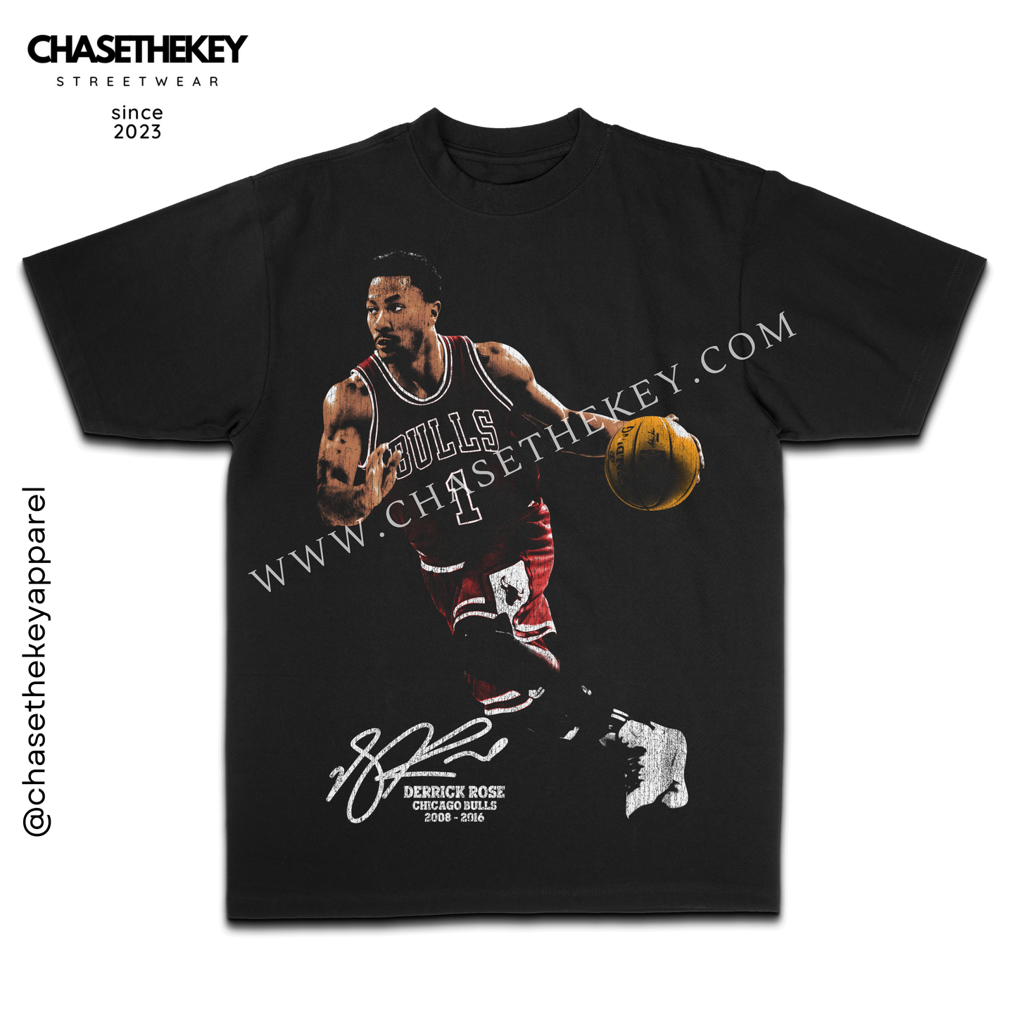 Derrick Rose Chicago Bulls T-Shirt