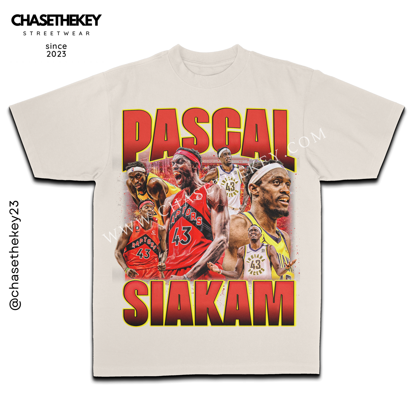 Pascal Siakam basketball graphic T-shirt
