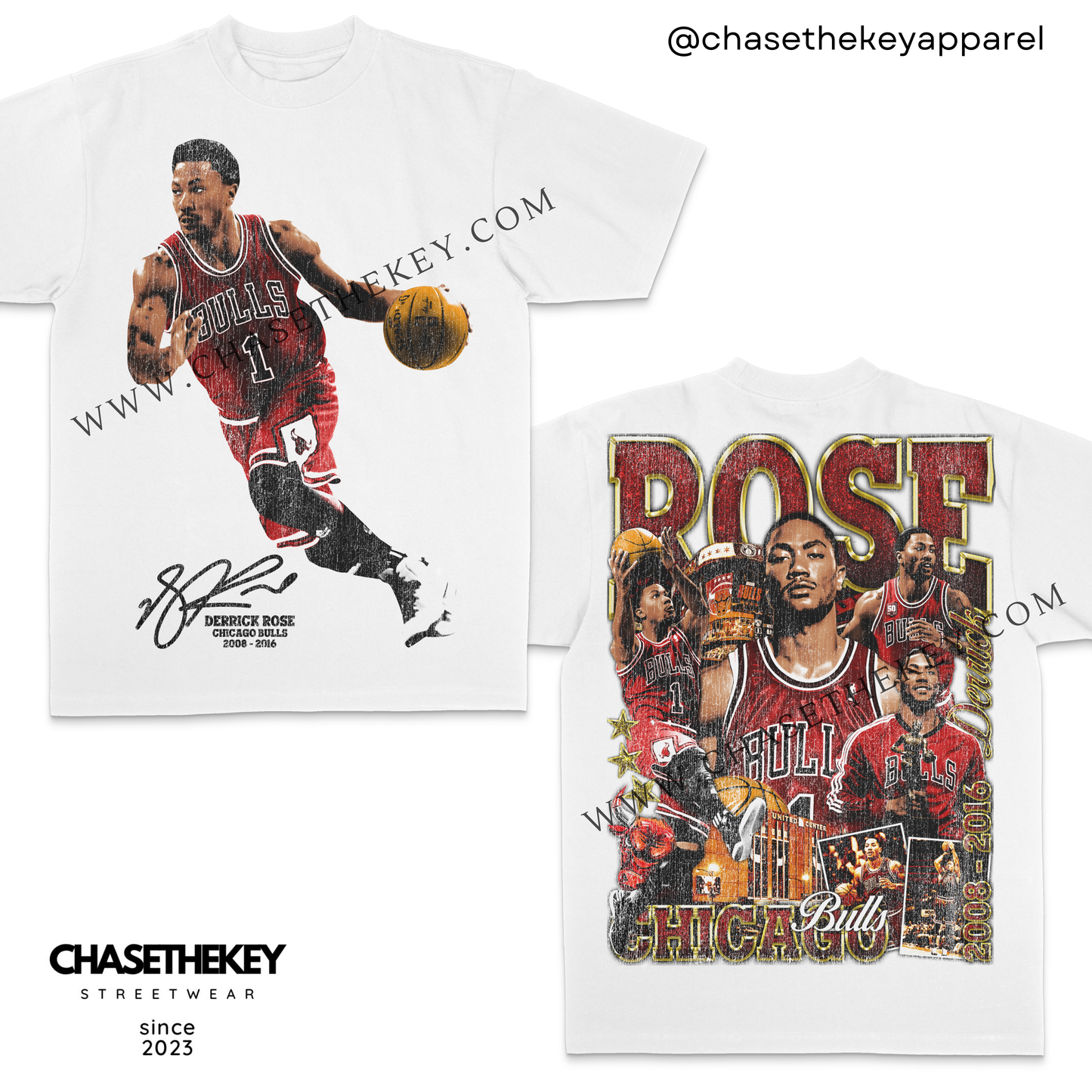 Derrick Rose Chicago Bulls T-Shirt