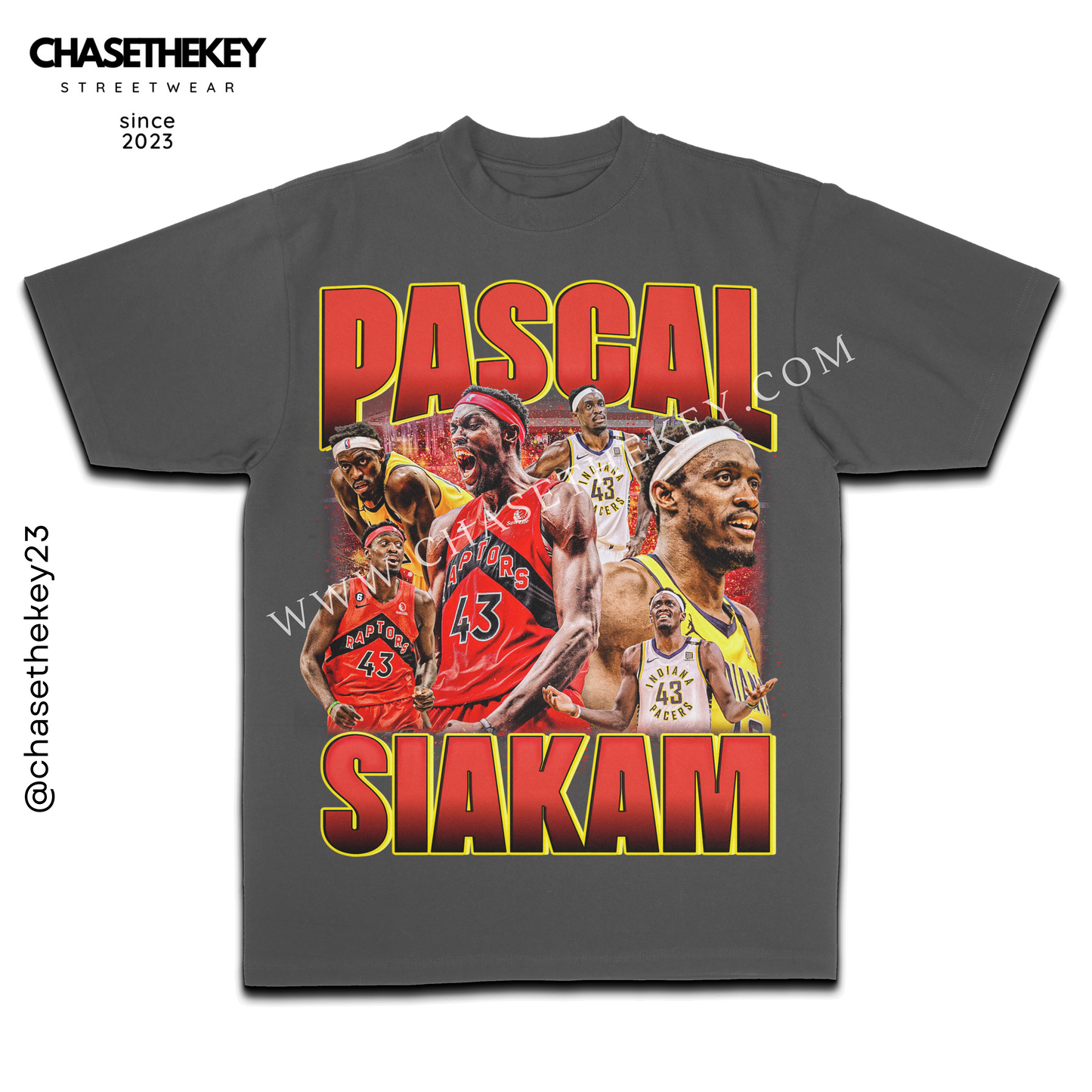 Pascal Siakam basketball graphic T-shirt