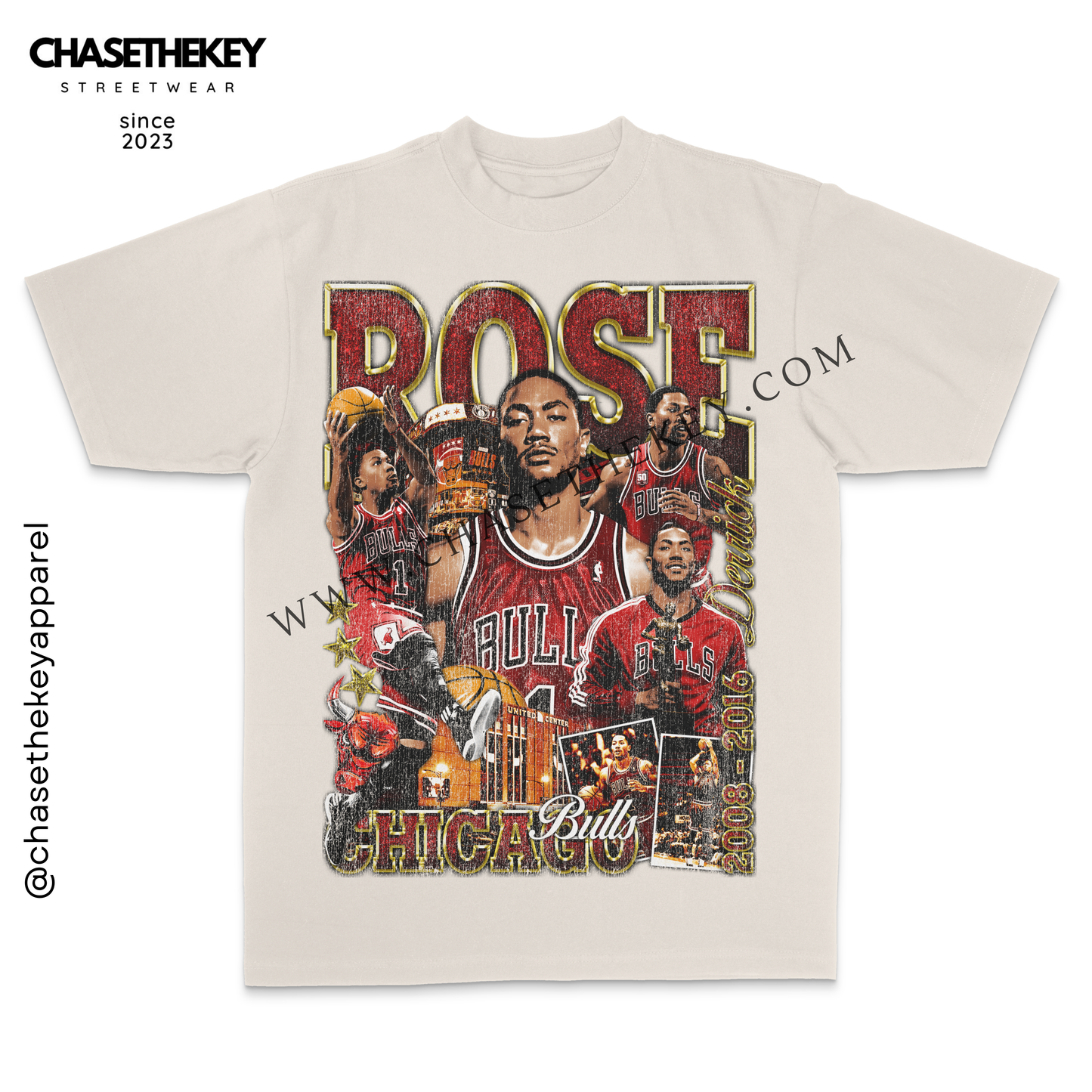 Derrick Rose Chicago Bulls T-Shirt